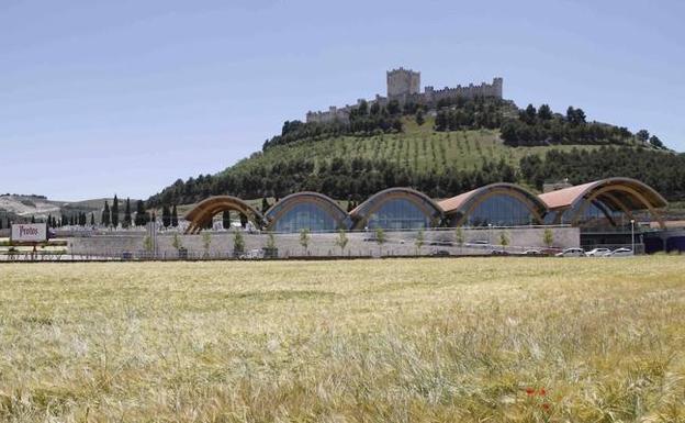 La Ruta del Vino Ribera del Duero roza los 400.000 visitantes en 2017