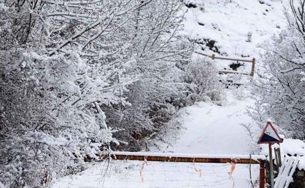 La Montaña Leonesa no abandonará las heladas durante la semana