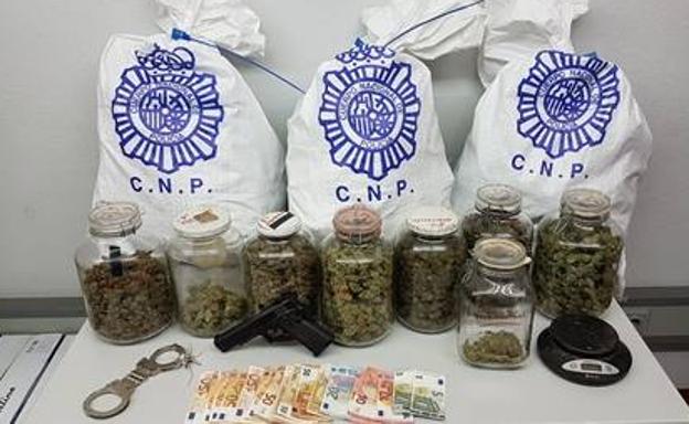 La Policía desmantela un piso en León dedicado al cultivo indoor de marihuana