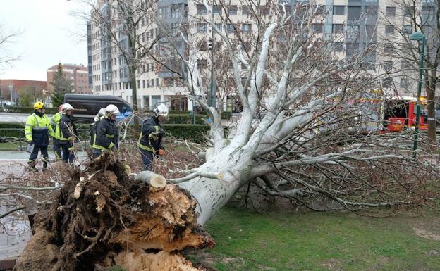 Activada la fase de alerta en toda la comunidad ante la previsión de nevadas y fuertes vientos