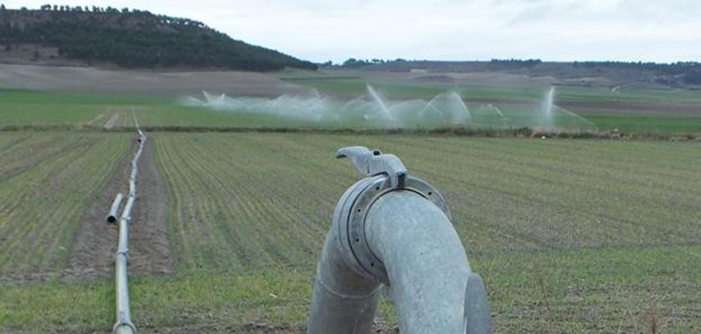 El campo de Castilla y León impulsa casi 56.000 hectáreas de riego en la última década