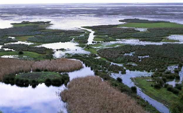 Andalucía acude a los tribunales para paralizar el polémico gaseoducto en Doñana