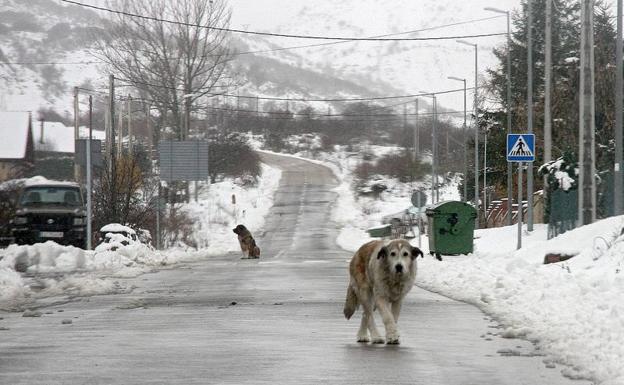 Activada la fase de alerta por nevadas en las carreteras del Estado de León