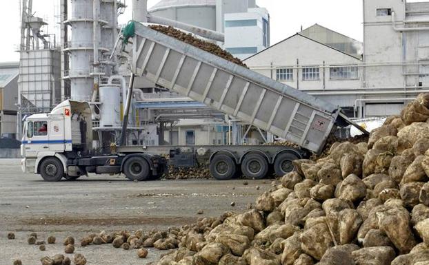 Azucarera anuncia la reapertura de la fábrica de La Bañeza