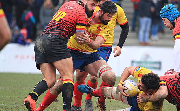 Sanción ejemplar para los 'leones' por lo sucedido en Bélgica