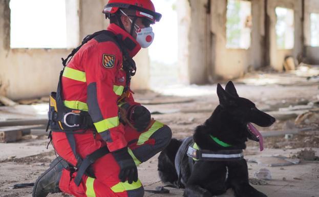 Casi 100 medios de la UME en León participan esta semana en Murcia en el simulacro de un doble terremoto