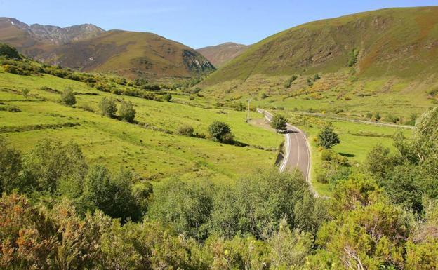 Renaturando-Futuro, una campaña para sensibilizar sobre el valor de la naturaleza y la biodiversidad en los municipios mineros de León