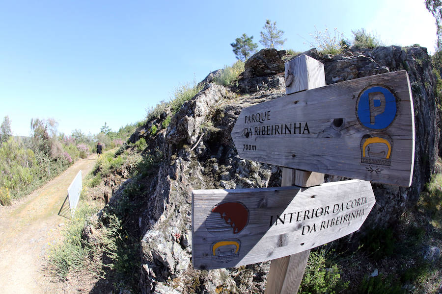 Paraje natural de Corta da Ribeirinha (Oporto)