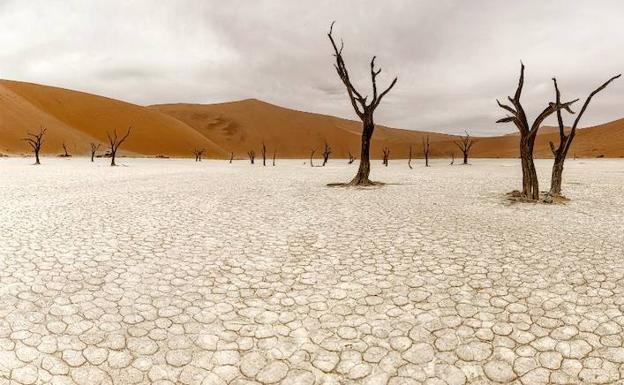 Villarejo de Órbigo acogerá una muestra de Richar Le Manz sobre el impacto del ser humano en la tierra