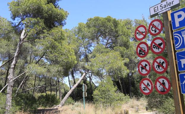 Un hombre acuchilla a su mujer en el cuello y se ahorca en Valencia