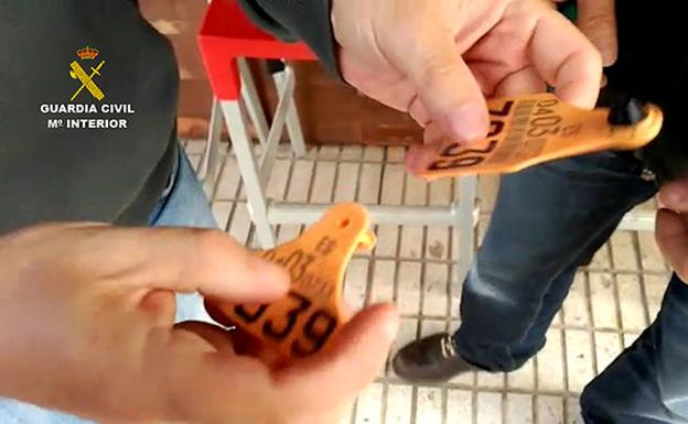 El Seprona desmantela dos organizaciones dedicadas a comercializar ilegalmente ganado vacuno con conexiones en Castilla y León