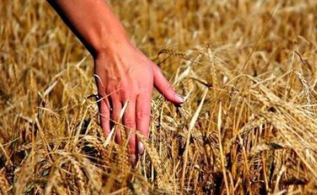 Asaja expresa su decepción por el recorte del presupuesto agrario que propone la Comisión Europea