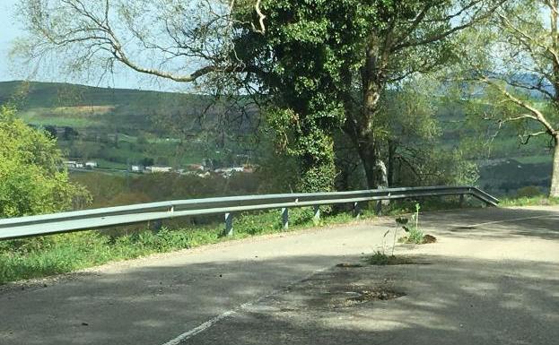 Plantan berzas en los baches de una carretera asturiana como medida de protesta