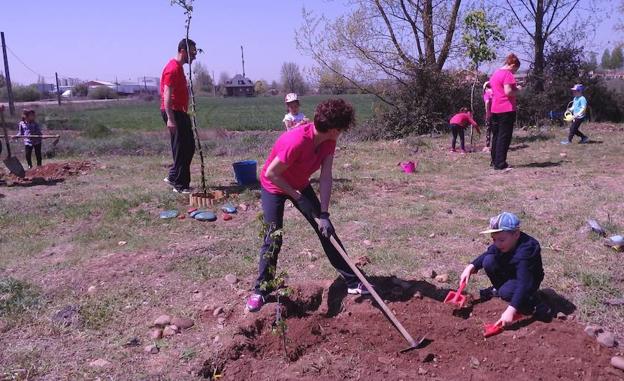 Los escolares de Hospital de Órbigo siguen ampliando sus bosques