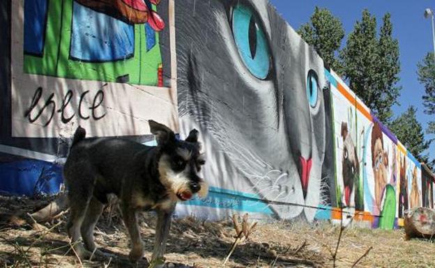 Villaquilambre acogerá en junio su primera edición de 'Graffiteando'