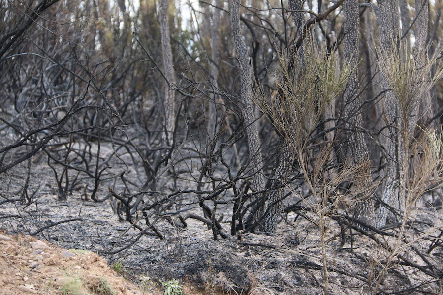 Incendio en Ambasaguas