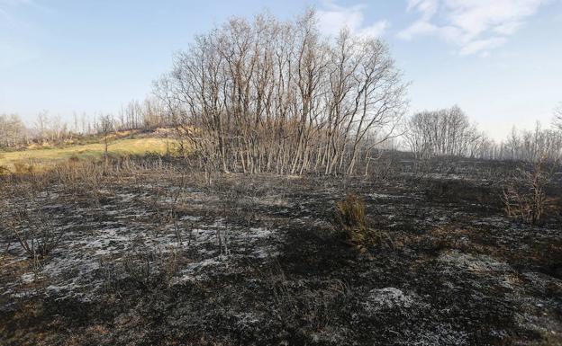 La UME toma parte en la extinción del incendio de Santa Colomba de Curueño durante toda la noche