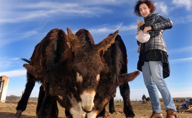 Las bondades de la leche de burra