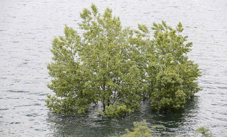 Embalse de los Barrios de Luna al 96% de su capacidad