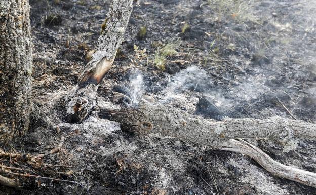 León suspende en planificación de incendios y se sitúa como una de las zonas con más riesgo