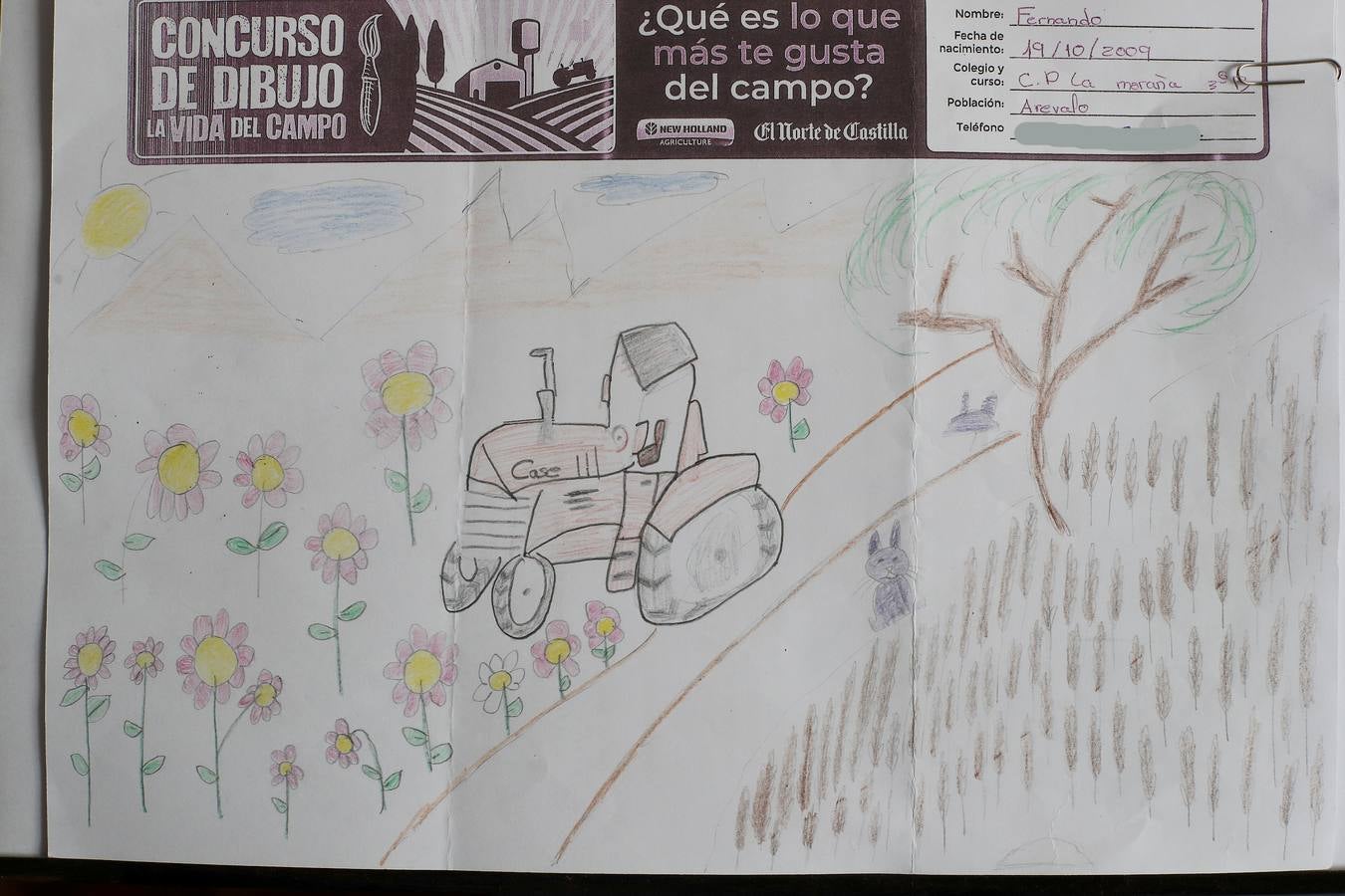 Trabajos de 3º de Primaria en la modalidad de dibujo del II Concurso de Dibujo y Cómic 'La vida del campo'