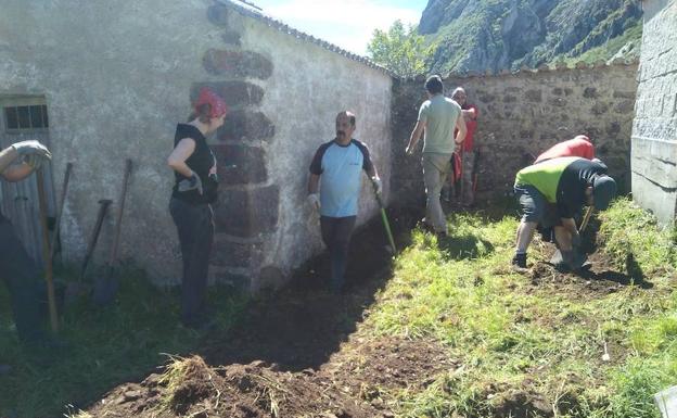 La Asociación para la Recuperación de la Memoria Histórica inicia en Canseco la exhumación de tres milicianos enterrados en una fosa