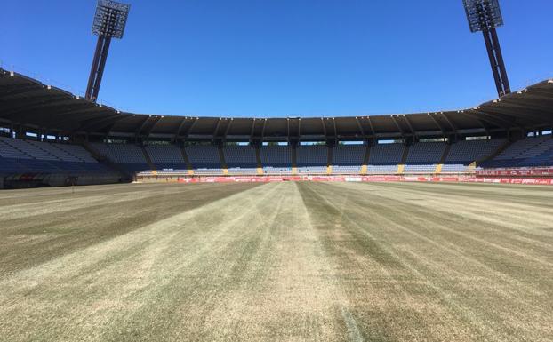 El Reino de León 'replanta' su piel