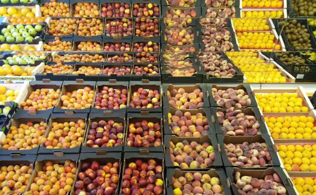 Stand de fruta en una tienda de Olgary./