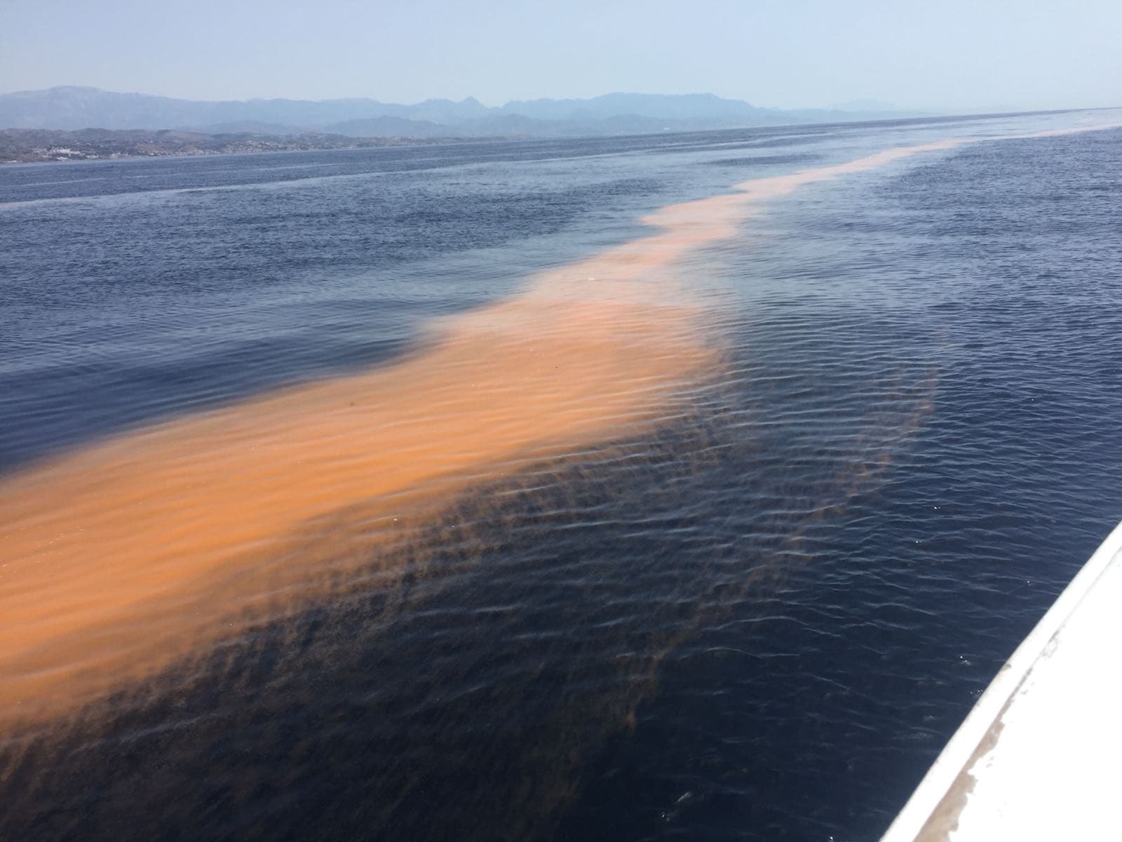 Las misteriosas manchas naranjas que aparecen cada verano en la costa se acercan al litoral malagueño