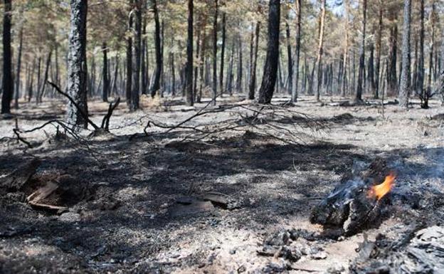 La provincia de León entra este domingo en la 'temporada alta' de riesgo de incendios forestales
