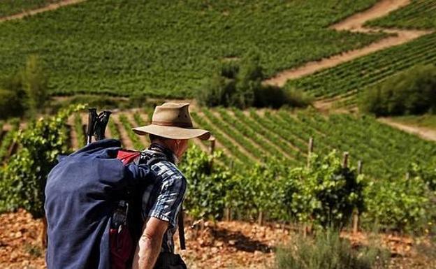 El enoturismo crece el 11% en la ruta de El Bierzo y se consolida con más de 27.000 visitantes