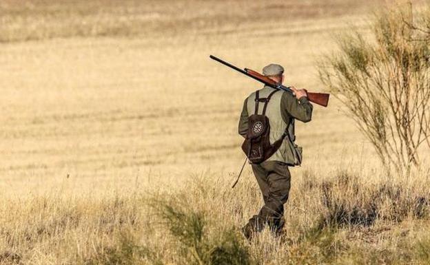 Solo los cazadores con licencia federativa podrán realizar controles de fauna en Castilla y León