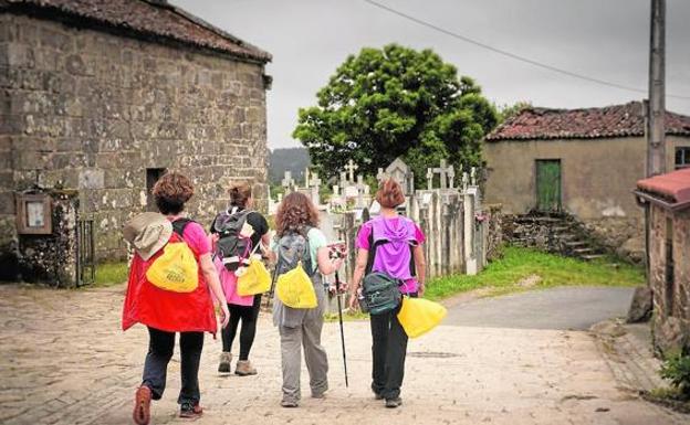 La Junta y Ecoembes fomentan el reciclaje y la lucha contra la 'basuraleza' en el Camino de Santiago