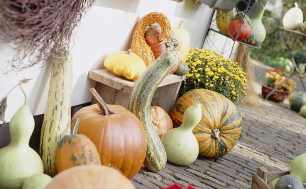 Villamejil acoge la instalación artístico-ecológica de Adolfo Pérez Rebollo con las calabazas como protagonistas