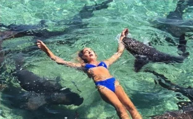 Un tiburón muerde a una modelo durante una sesión de trabajo