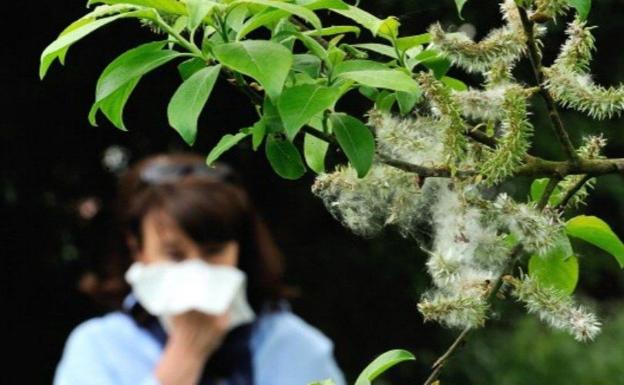 Los alérgicos leoneses ya respiran tranquilos