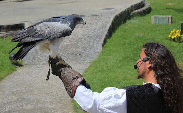 Coyanza crece en el medievo