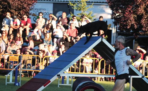Veguellina de Órbigo acogerá la IV edición del trofeo 'Reino de León' de Agility