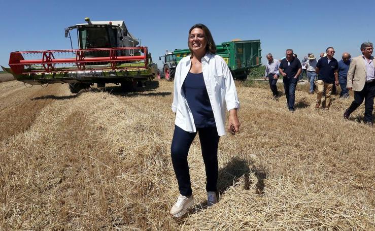 La consejera de Agricultura presenta los datos relativos a la cosecha de cereales de 2018