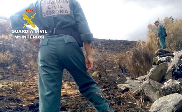 La Guardia Civil detiene al autor del incendio forestal de 'La Cabrera', que quemó 9.000 hectáreas