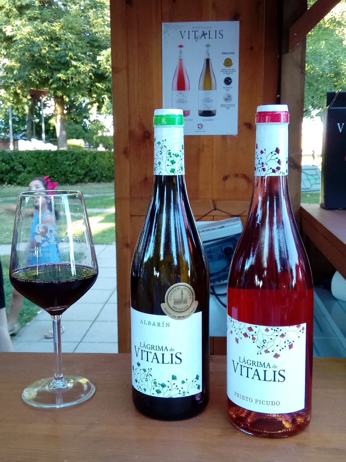 El vino reina en Valencia de Don Juan