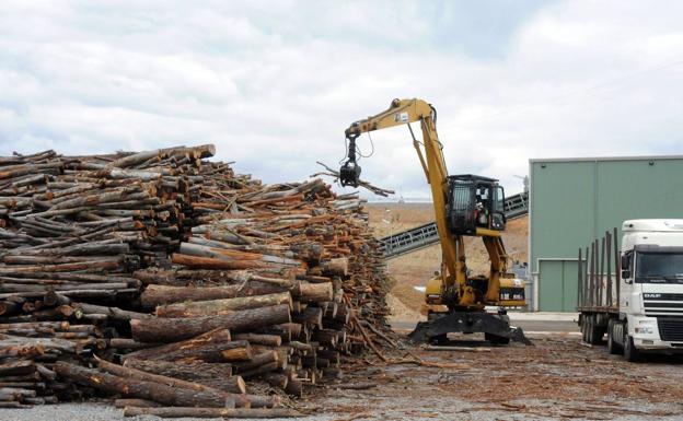 La Junta aprueba el proyecto de la planta de biomasa de Forestalia en Cubillos con 200 empleos