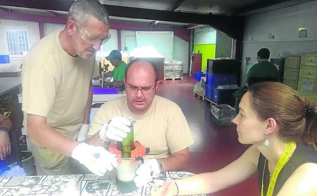 «El empleo es fundamental para que la persona pueda seguir su proyecto de vida»