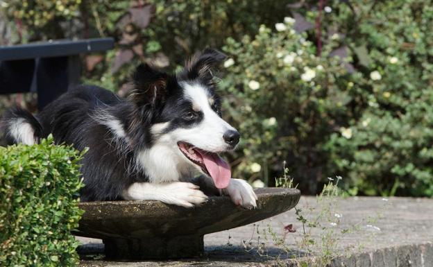 La ola de calor apura el lunes sus últimos coletazos con avisos por altas temperaturas en León