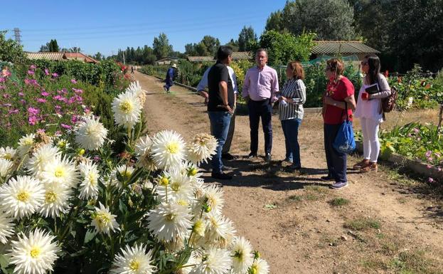 La Plaza de los Huertos de La Candamia dará servicio a sus 176 usuarios a partir de la semana próxima