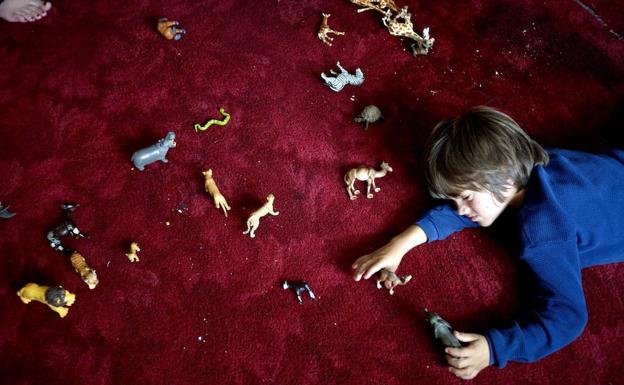 Investigadores españoles descubren una proteína clave en el desarrollo del autismo