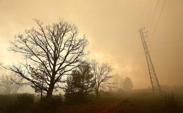 Suárez-Quiñones incide en la «eficacia» del «potente» modelo de extinción de incendios forestales