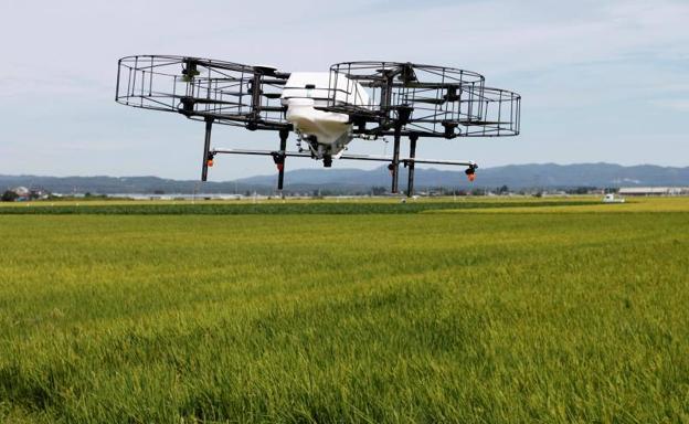 Una tecnología española permite replantar hasta 10.000 árboles en un día con drones