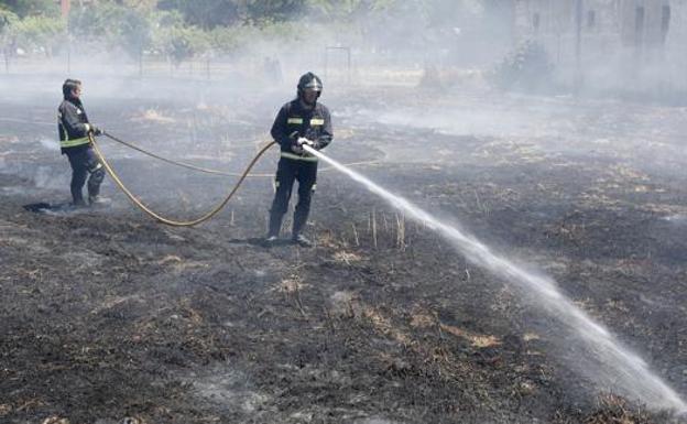 Controlados dos incendios en Villacé y San Andrés del Rabanedo que arrasan cinco hectáreas