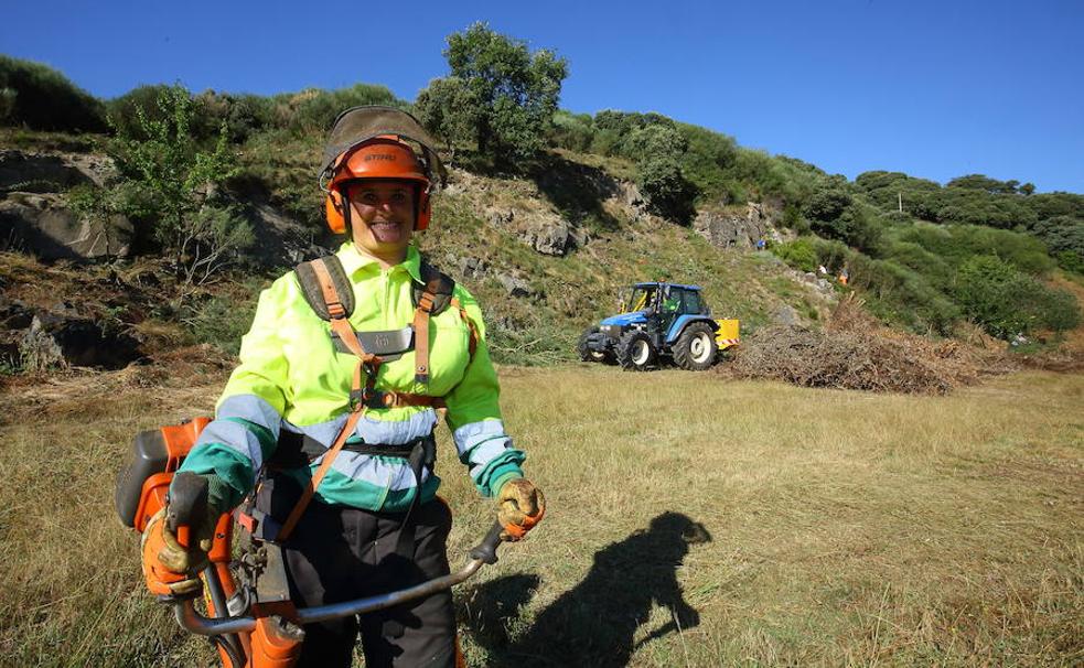 con 'F' de forestal... y femenino